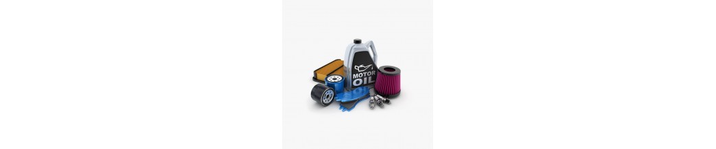 Auto Battery